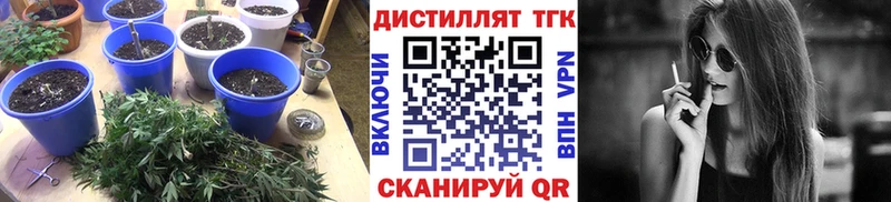 Купить закладки  Новомосковск  ТГК THC oil 