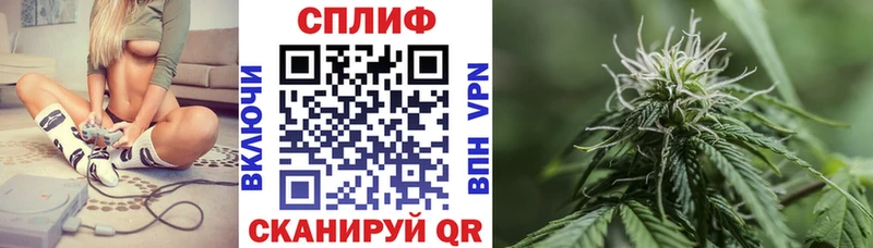 Купить закладки  Новомосковск  Бошки Шишки Bruce Banner 